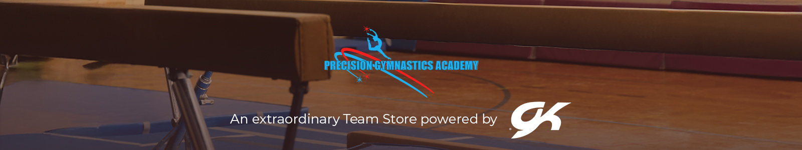 Precision Gymnastics Academy